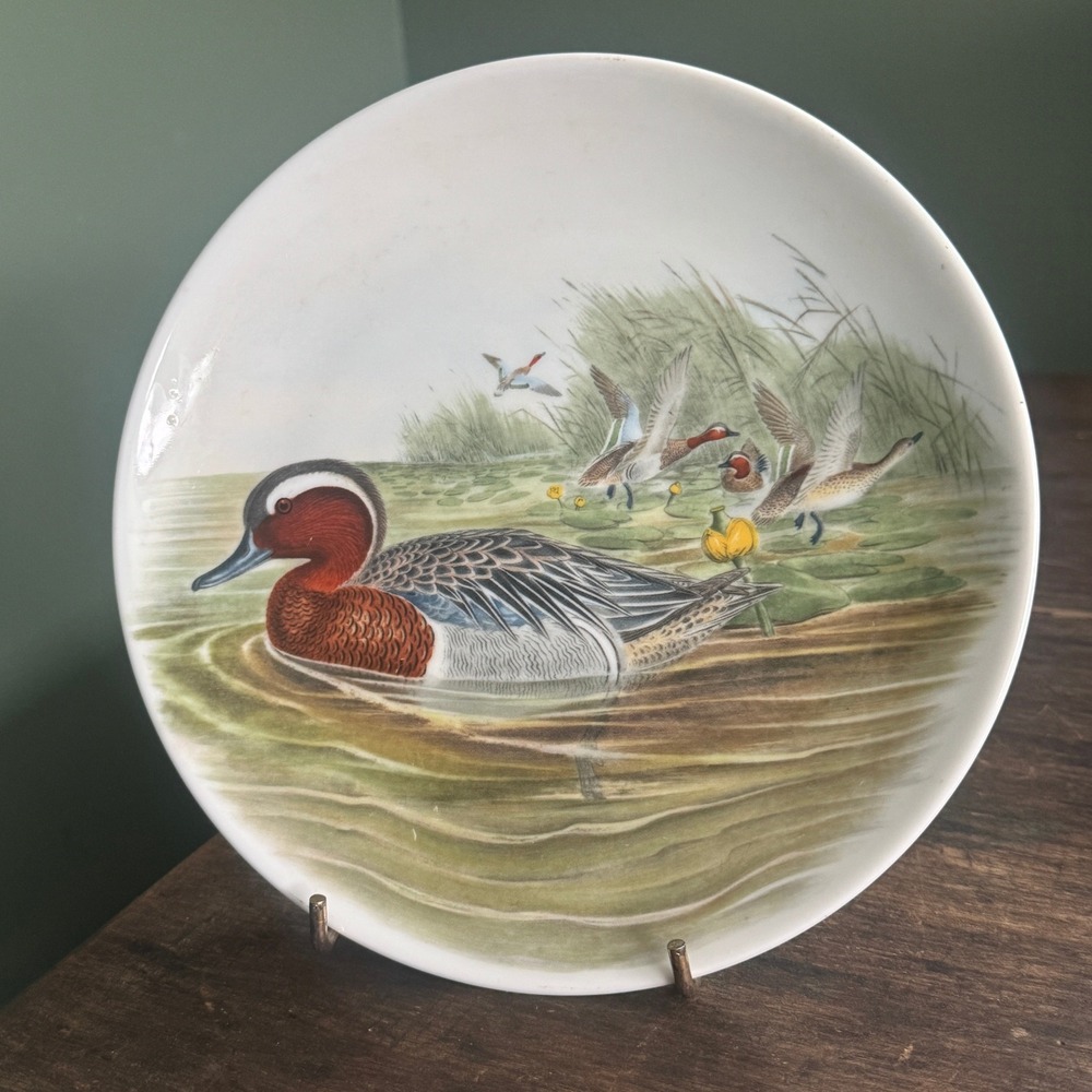 Vintage JKW Western Germany John Gould Garganey Duck Porcelain Decorative Plate